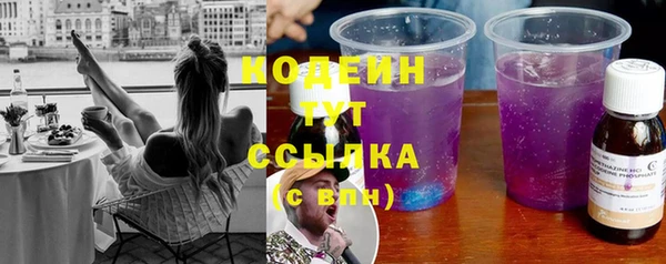 Альфа ПВП Няндома