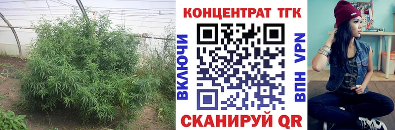 ТГК вейп  Урай 
