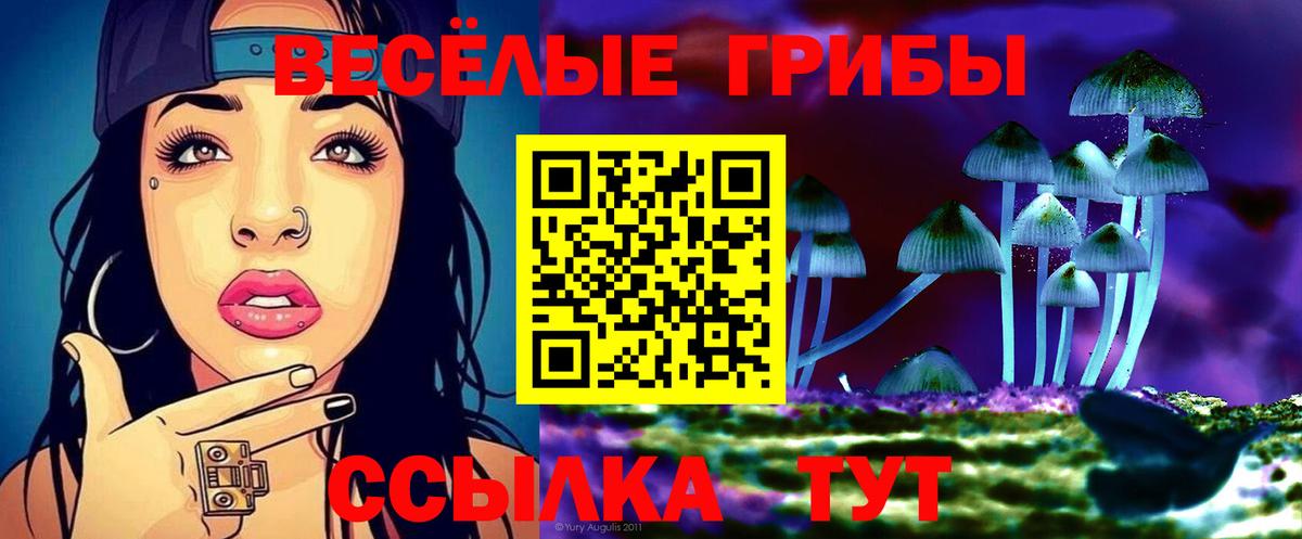 Галлюциногенные грибы GOLDEN TEACHER Урай