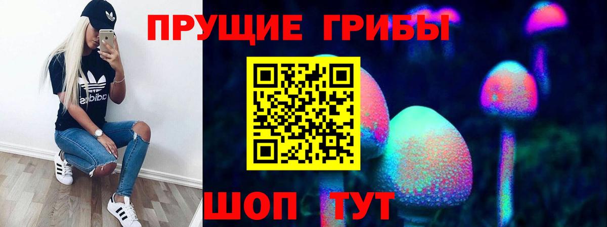 Урай  Галлюциногенные грибы прущие грибы  Вход с VPN 